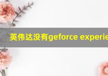 英伟达没有geforce experience